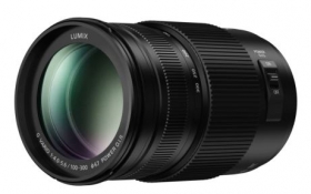 Panasonic Lumix G 100-300mm F4-5.6